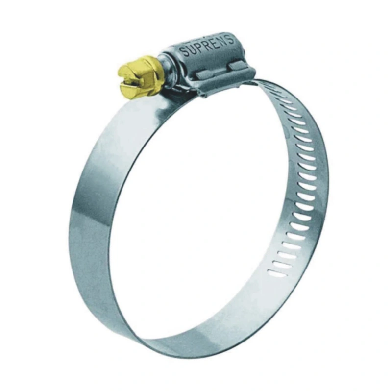 Imagem Ilustrando El Galvão e Cia