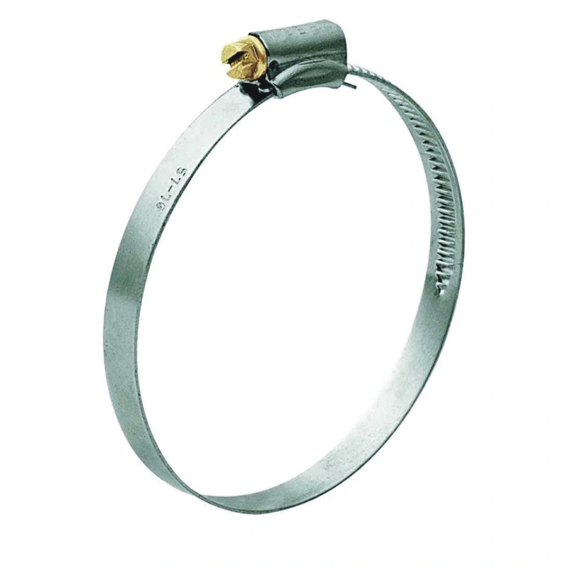 Imagem Ilustrando El Galvão e Cia