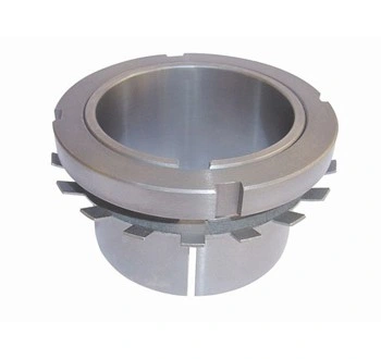 Imagem Ilustrando El Galvão e Cia