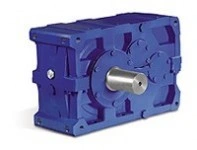 Imagem Ilustrando El Galvão e Cia