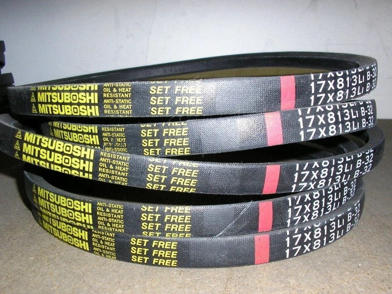 Imagem Ilustrando El Galvão e Cia