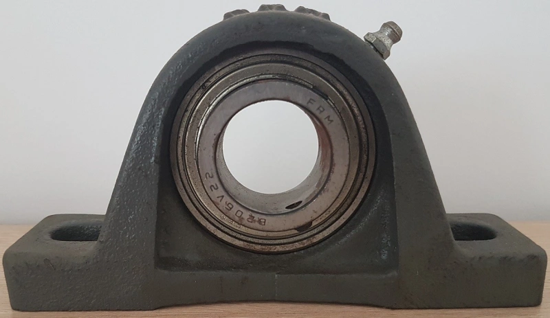 Imagem Ilustrando El Galvão e Cia