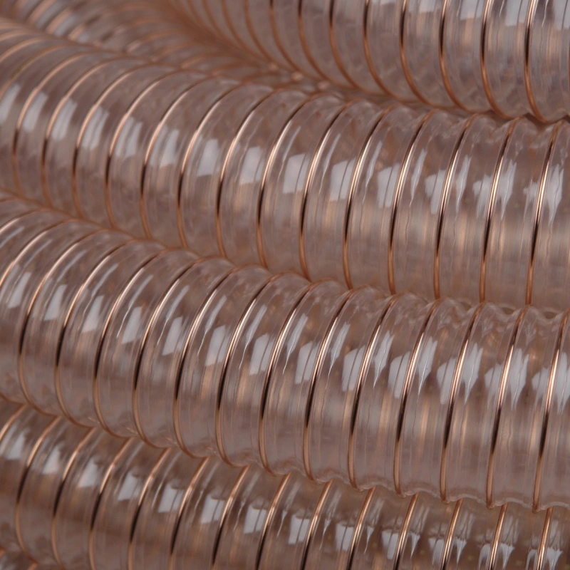 Imagem Ilustrando El Galvão e Cia