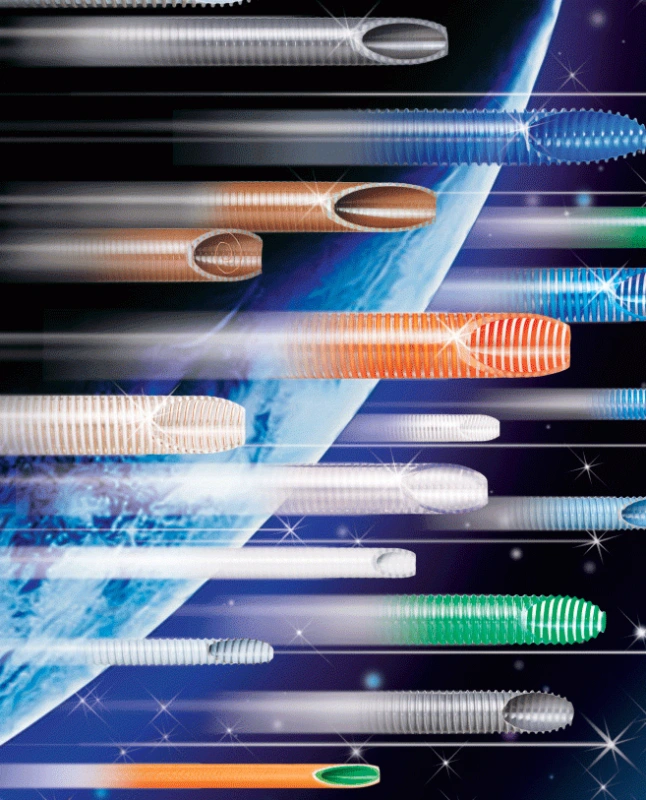 Imagem Ilustrando El Galvão e Cia